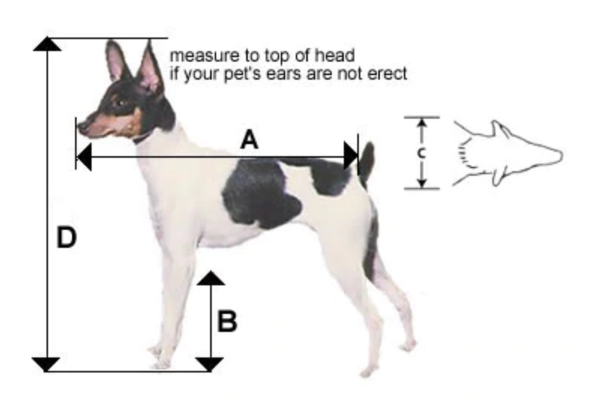 Pet measurement guide