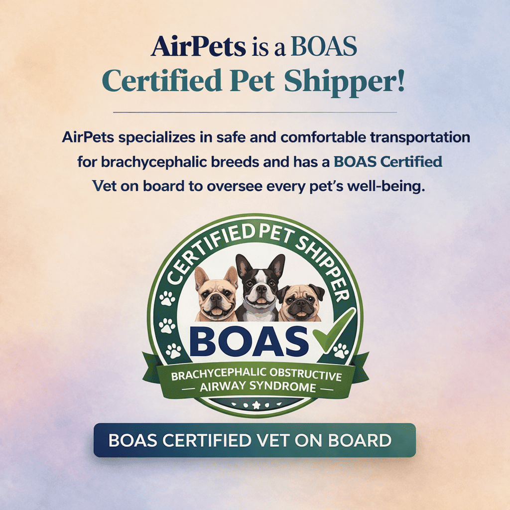 AirPets is a BOAS Certified Pet Shipper