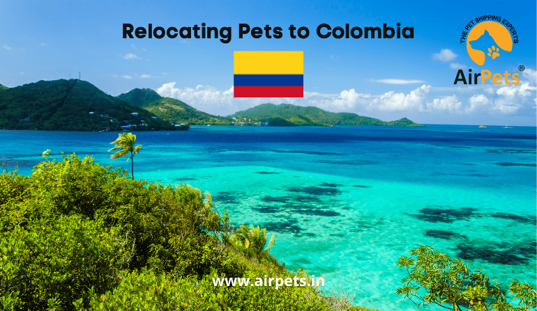 Relocating Pets to Colombia