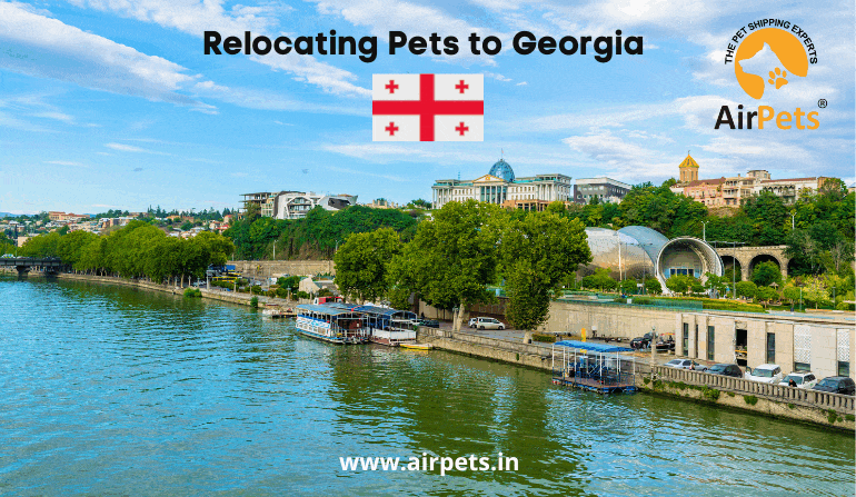 Relocating Pets to Georgia
