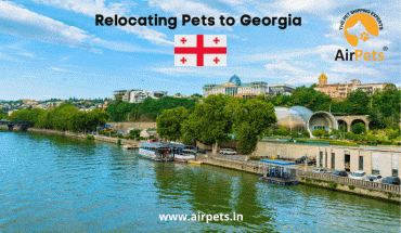 Relocating Pets to Georgia