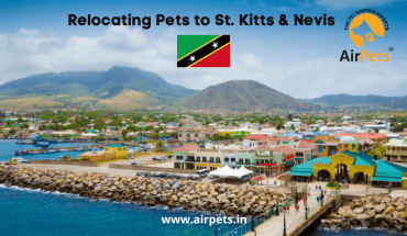 Relocating Pets to Saint Kitts And Nevis