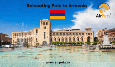 Relocating Pets to Armenia