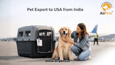 Pet Export to USA from India