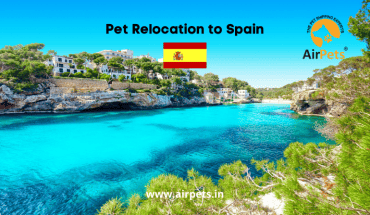 Pet Relocation to Spain