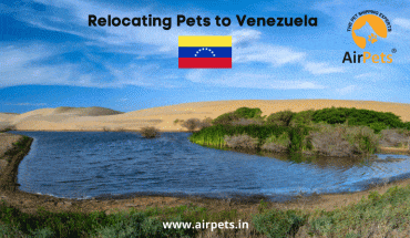 Relocating Pets to Venezuela
