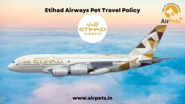 Etihad Airways Pet Travel Policy