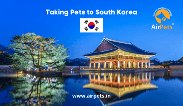 Taking Pets to South Korea
