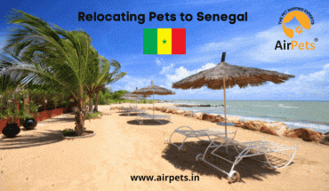 Relocating with Pets to Senegal