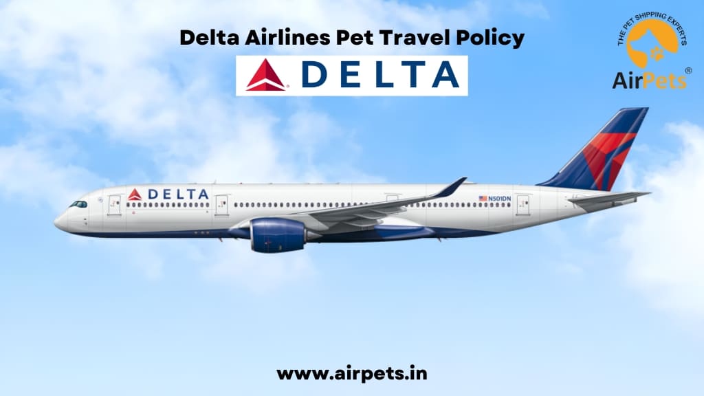 Delta Airlines Pet Travel Policy