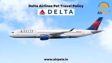 Delta Airlines Pet Travel Policy