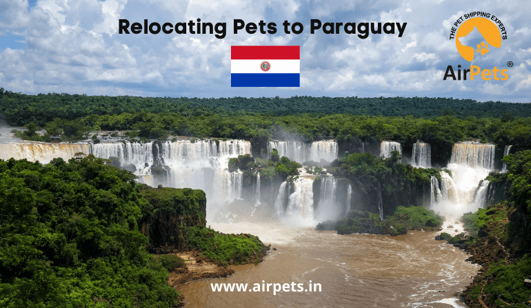 Relocating Pets to Paraguay