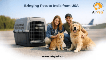 Bringing Pets to India from USA