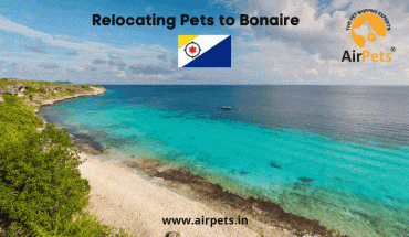 Relocating Pets to Bonaire