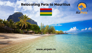 Relocating Pets to Mauritius 