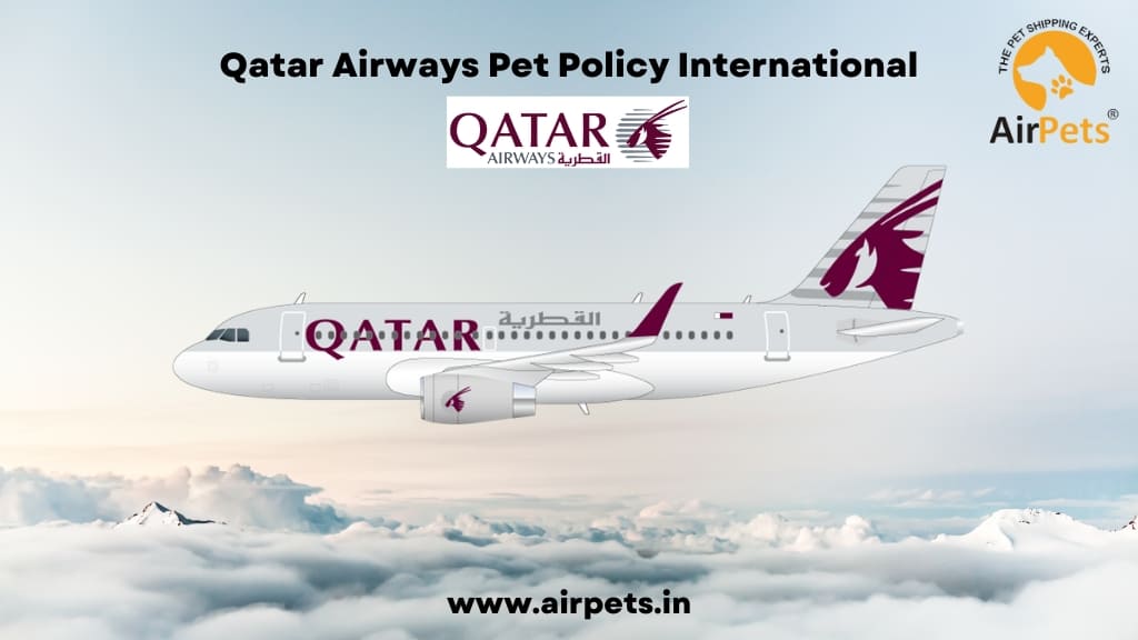Qatar Airways Pet Policy International