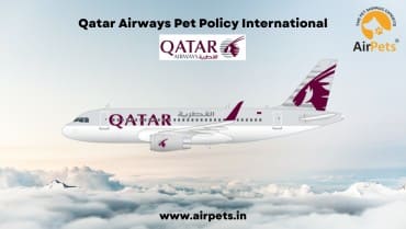 Qatar Airways Pet Policy International