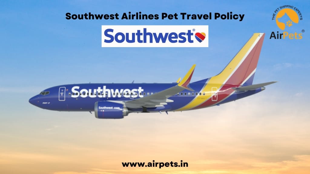 Southwest Airlines Pet Travel Policy