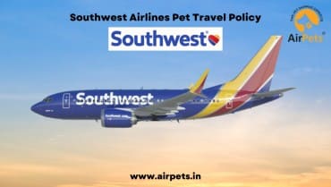 Southwest Airlines Pet Travel Policy