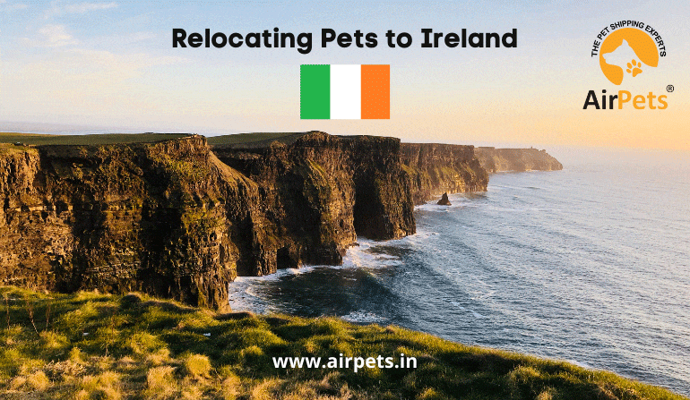 Relocating Pets to Ireland