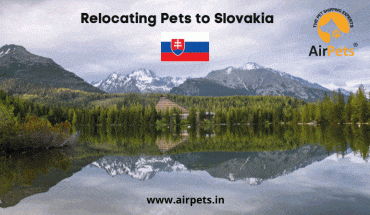 Relocating Pets to Slovakia