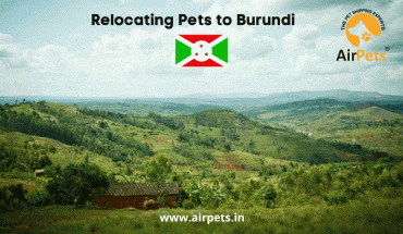 Relocating Pets to Burundi