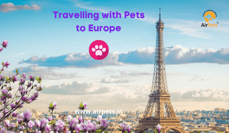 Travelling with Pets to Europe
