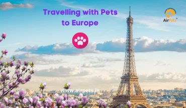 Travelling with Pets to Europe