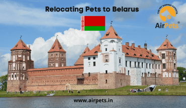 Relocating Pets to Belarus