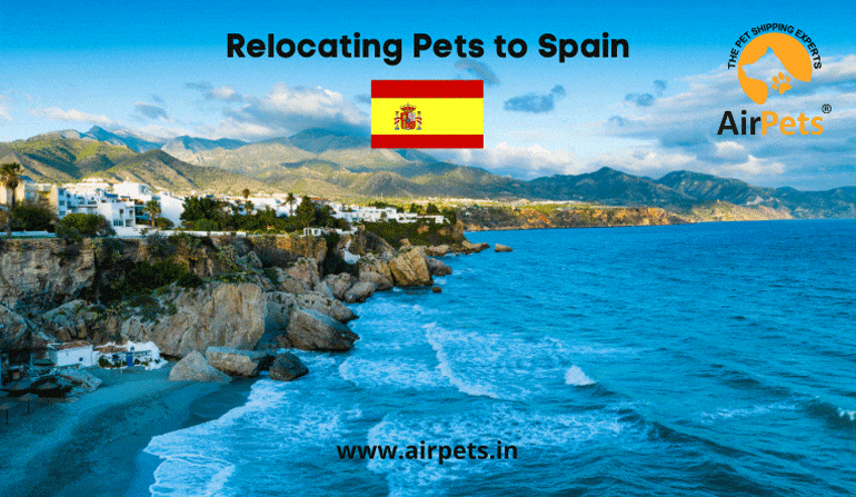 Relocating Pets to Spain