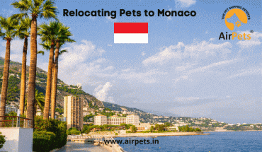 Relocating Pets to Monaco