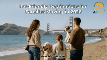 Pet-Friendly Destinations for Families Moving in 2026