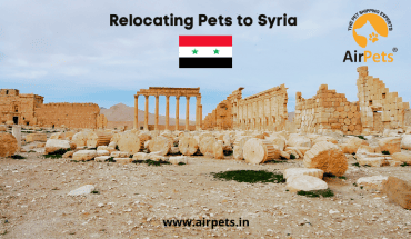 Relocating Pets to Syria
