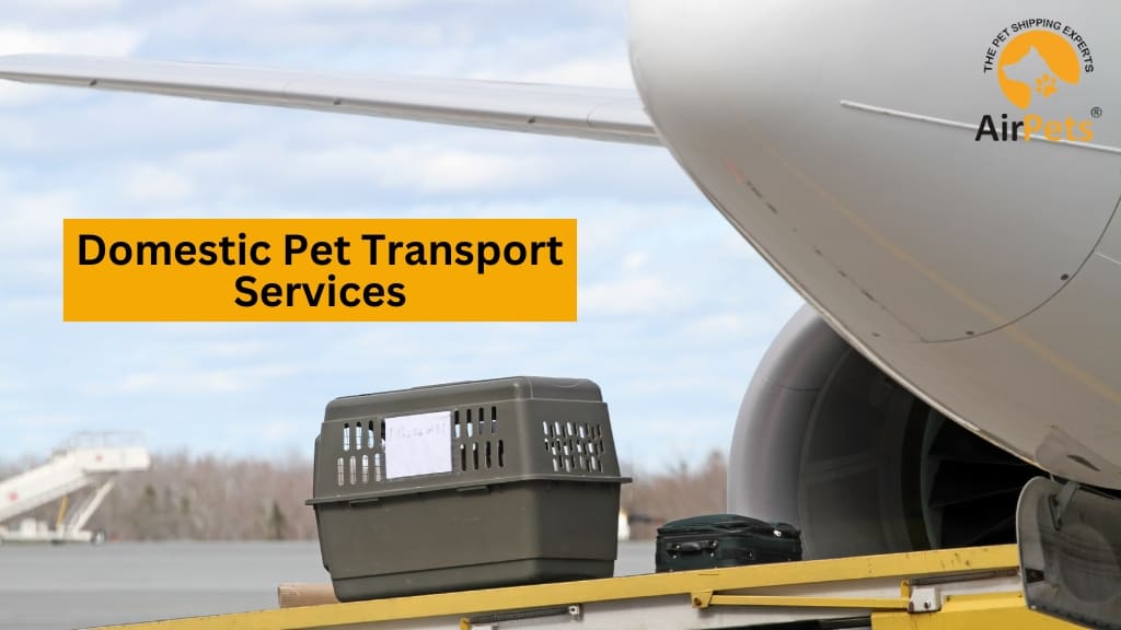 Domestic Pet Transport Services in India