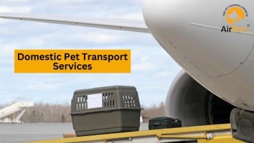 Domestic Pet Transport Services in India