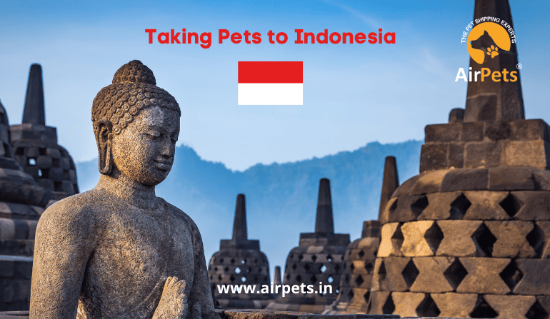 Taking Pets to Indonesia