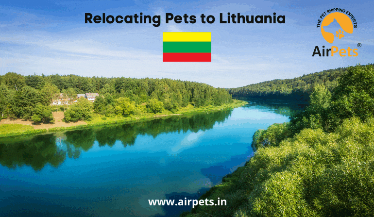 Relocating Pets to Lithuania
