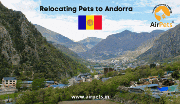 Relocating Pets to Andorra 