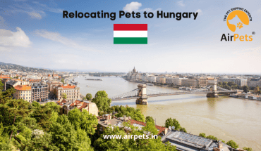 Relocating Pets to Hungary