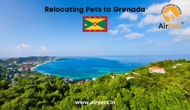 Relocating Pets to Grenada