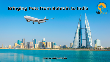 Bringing Pets from Bahrain to India