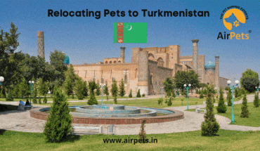 Relocating Pets to Turkmenistan