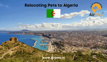 Relocating Pets to Algeria