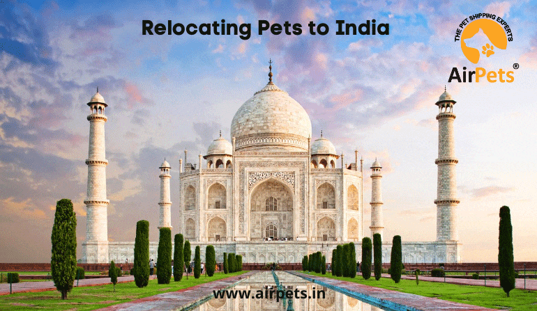 Relocating Pets to India