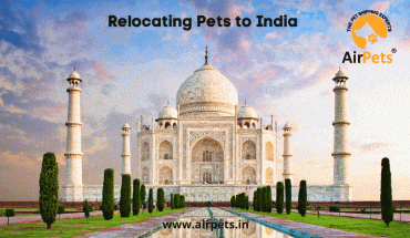 Relocating Pets to India