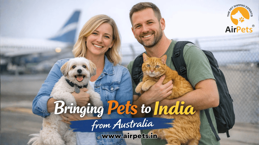 Bringing Pets to India from Australia