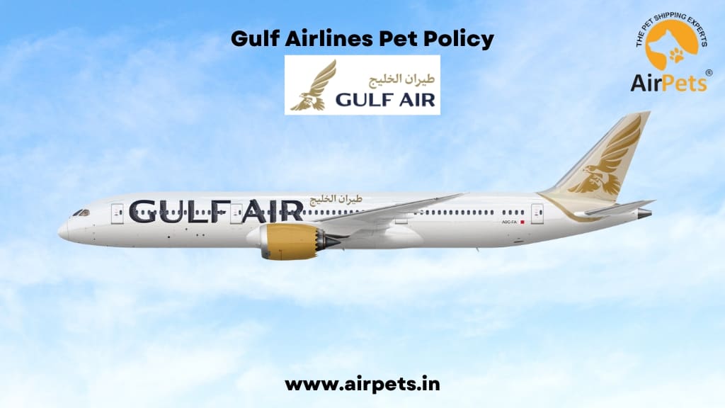 Gulf Airlines Pet Policy