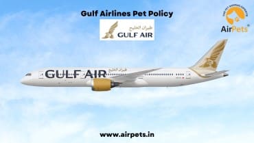 Gulf Airlines Pet Policy