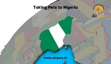 Taking Pets to Nigeria