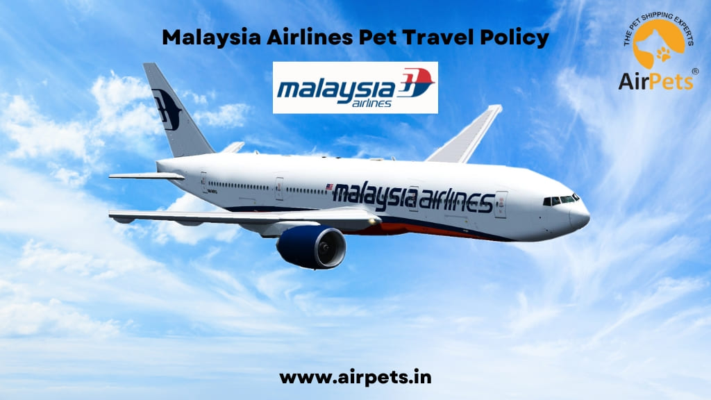 Malaysia Airlines Pet Travel Policy